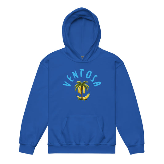 Youth "Go Big" Hoodie (3 Colors)